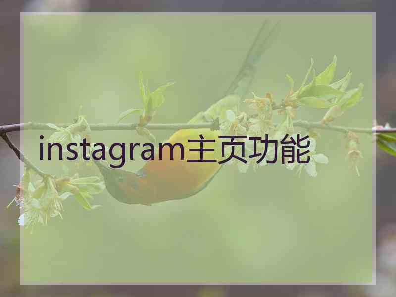 instagram主页功能