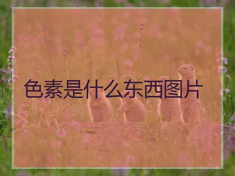 色素是什么东西图片 色素是什么东西图片