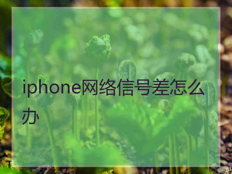 iphone网络信号差怎么办 iphone网络信号差怎么办
