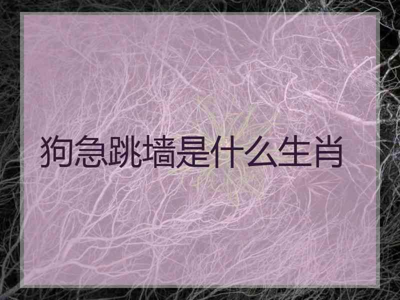 狗急跳墙是什么生肖 狗急跳墙是什么生肖