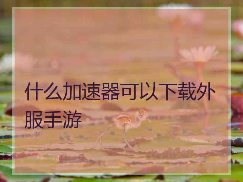 什么加速器可以下载外服手游 什么加速器可以下载外服手游