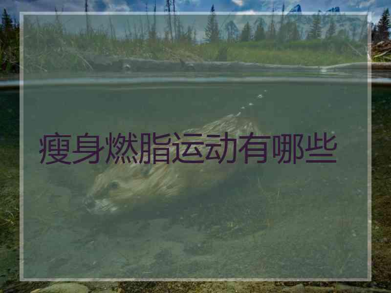 瘦身燃脂运动有哪些 瘦身燃脂运动有哪些