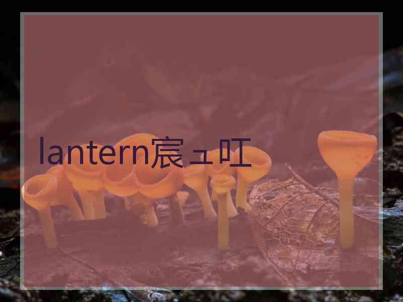 lantern宸ュ叿