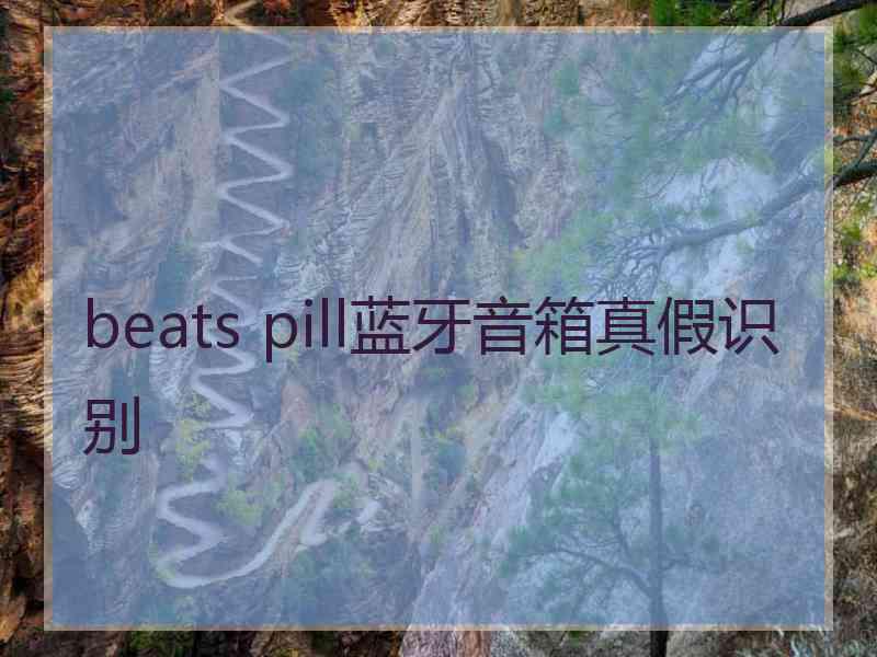 beats pill蓝牙音箱真假识别 beats pill蓝牙音箱真假识别