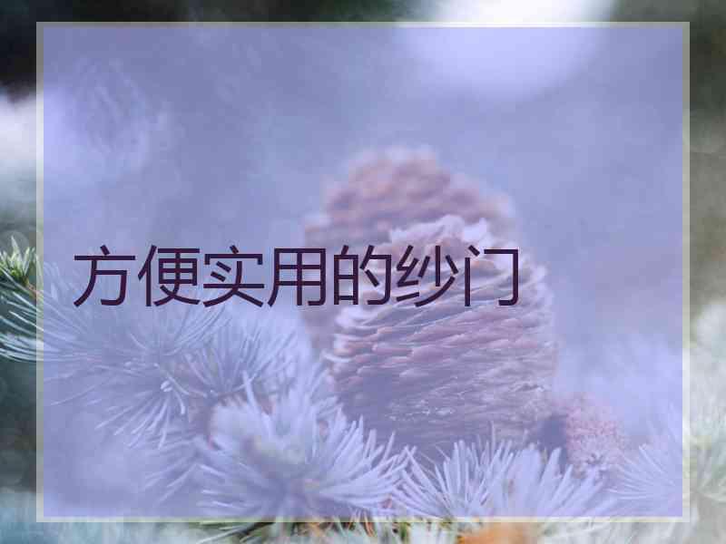 方便实用的纱门 方便实用的纱门