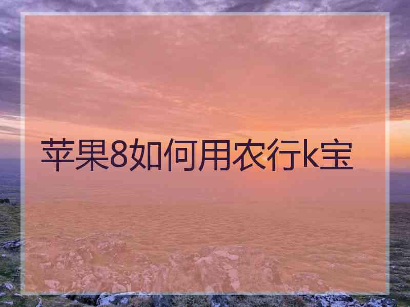 苹果8如何用农行k宝 苹果8如何用农行k宝