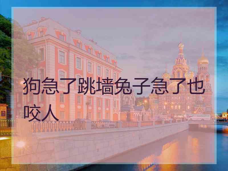 狗急了跳墙兔子急了也咬人 狗急了跳墙兔子急了也咬人