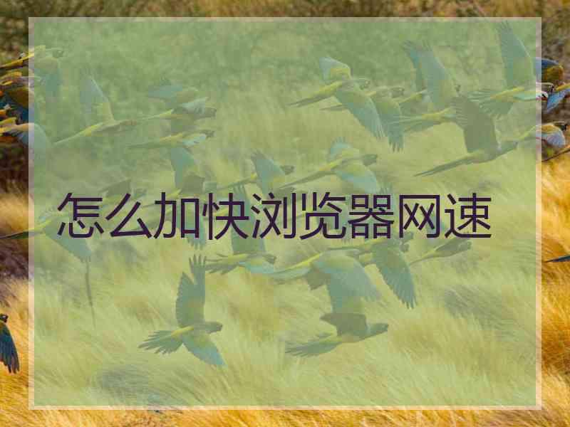 怎么加快浏览器网速 怎么加快浏览器网速