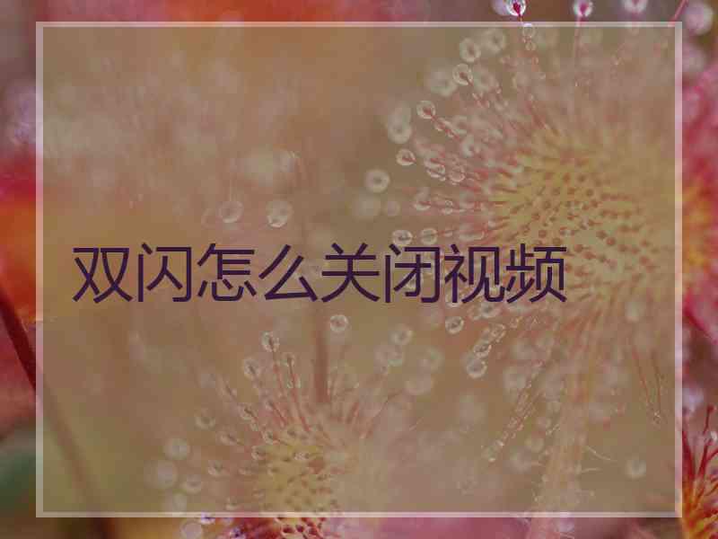 双闪怎么关闭视频 双闪怎么关闭视频
