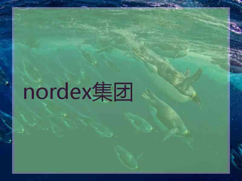 nordex集团 nordex集团