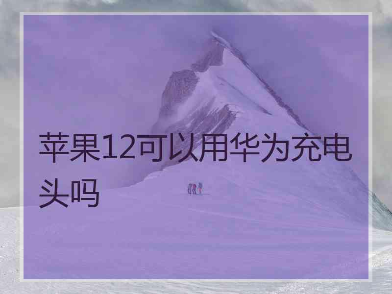 苹果12可以用华为充电头吗 苹果12可以用华为充电头吗
