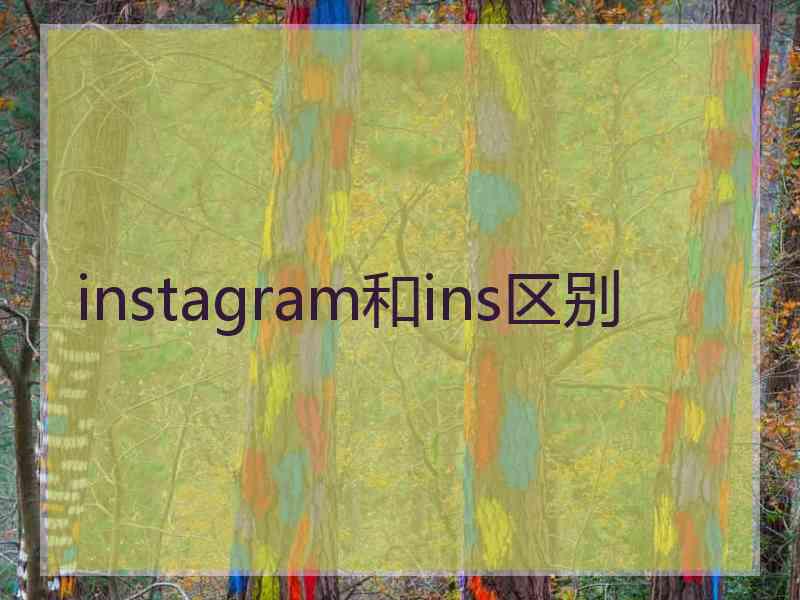 instagram和ins区别 instagram和ins区别