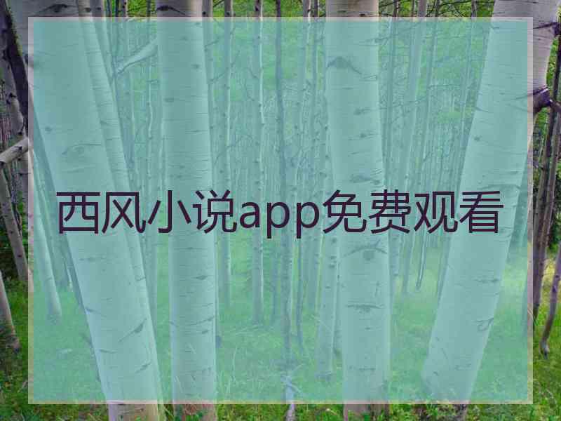 西风小说app免费观看
