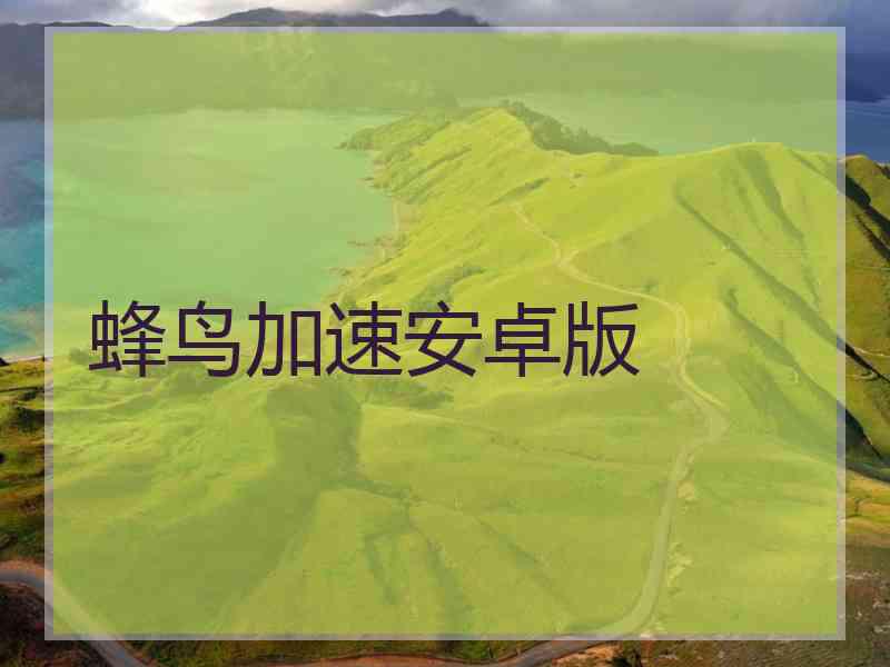 蜂鸟加速安卓版 蜂鸟加速安卓版