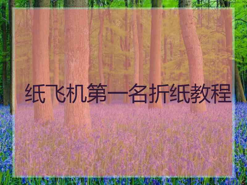 纸飞机第一名折纸教程 纸飞机第一名折纸教程