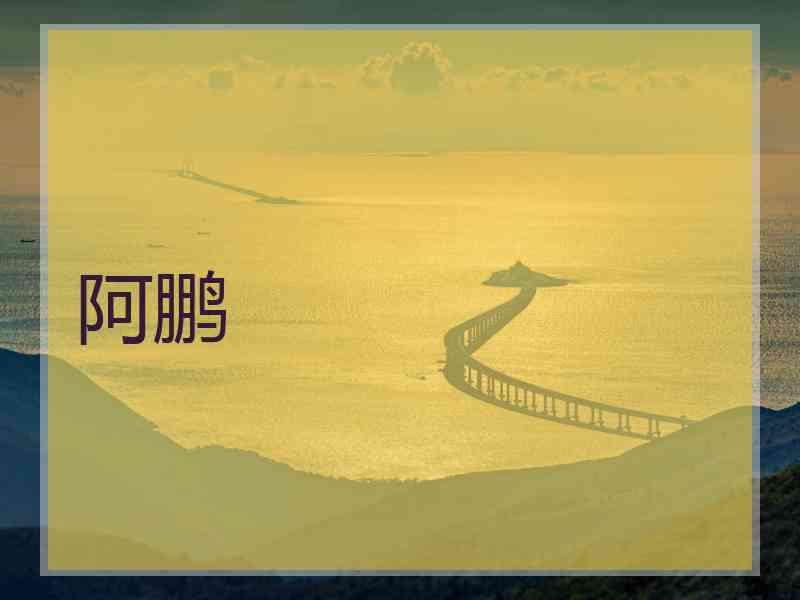 阿鹏 阿鹏