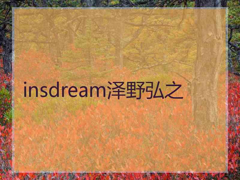 insdream泽野弘之 insdream泽野弘之