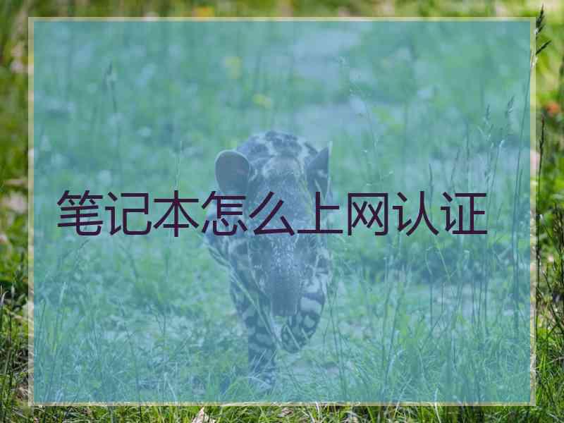笔记本怎么上网认证 笔记本怎么上网认证