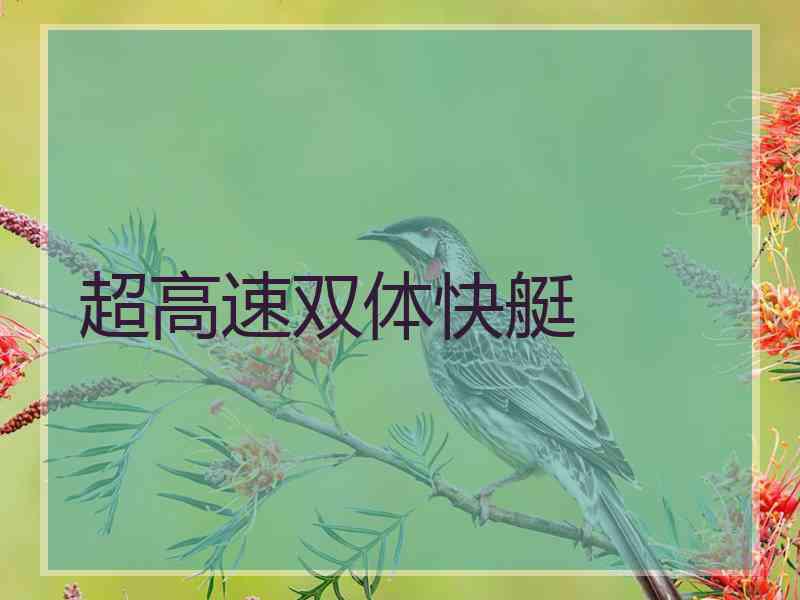 超高速双体快艇 超高速双体快艇