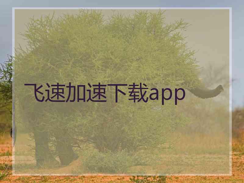 飞速加速下载app 飞速加速下载app