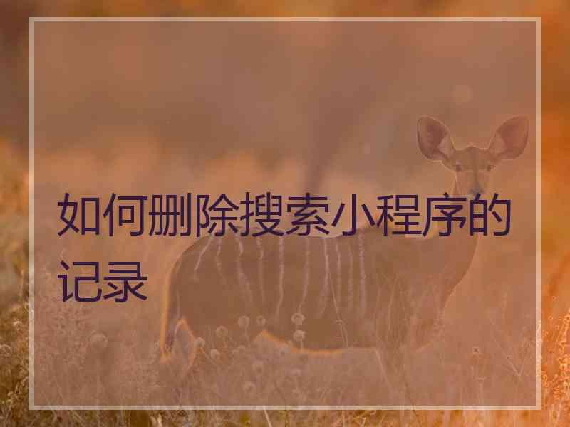 如何删除搜索小程序的记录 如何删除搜索小程序的记录