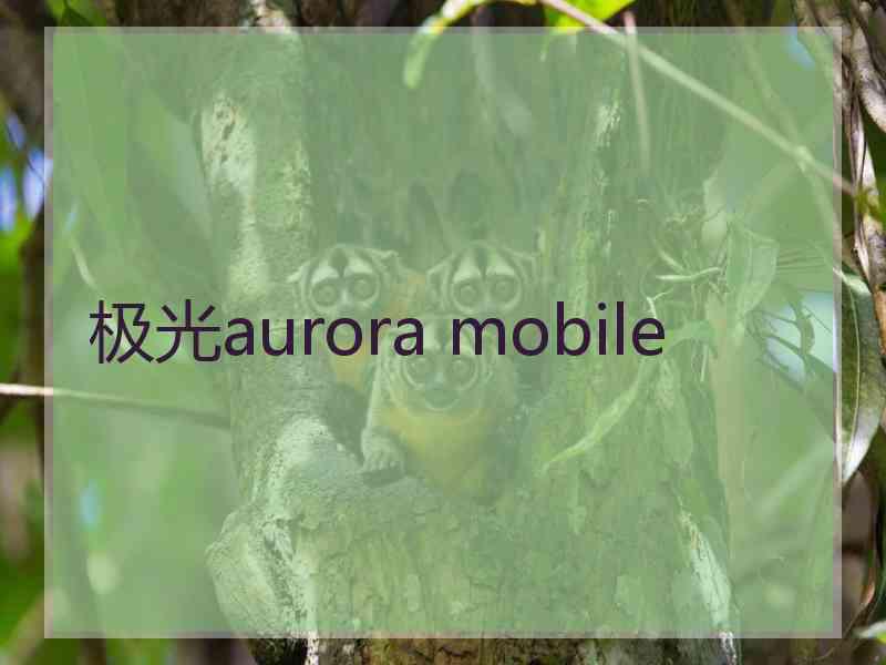 极光aurora mobile 极光aurora mobile