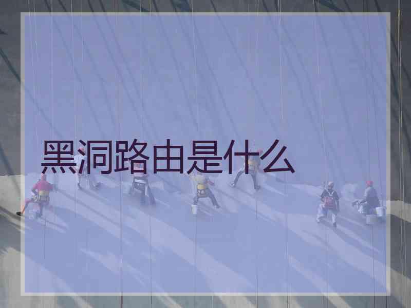 黑洞路由是什么 黑洞路由是什么