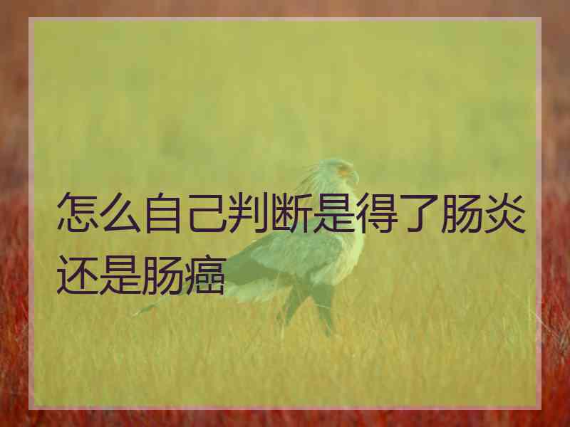 怎么自己判断是得了肠炎还是肠癌 怎么自己判断是得了肠炎还是肠癌