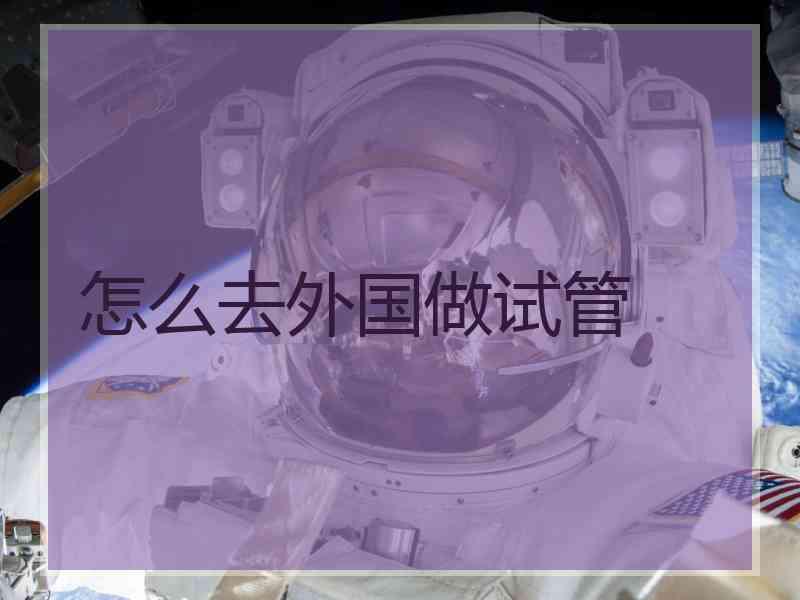 怎么去外国做试管 怎么去外国做试管