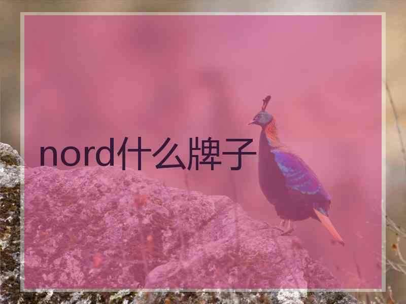 nord什么牌子 nord什么牌子