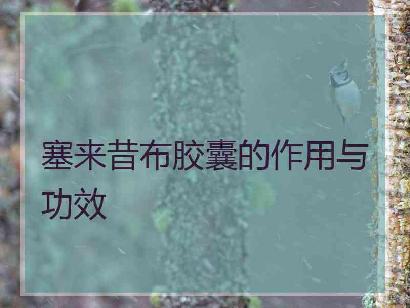 塞来昔布胶囊的作用与功效 塞来昔布胶囊的作用与功效