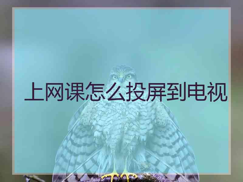上网课怎么投屏到电视 上网课怎么投屏到电视