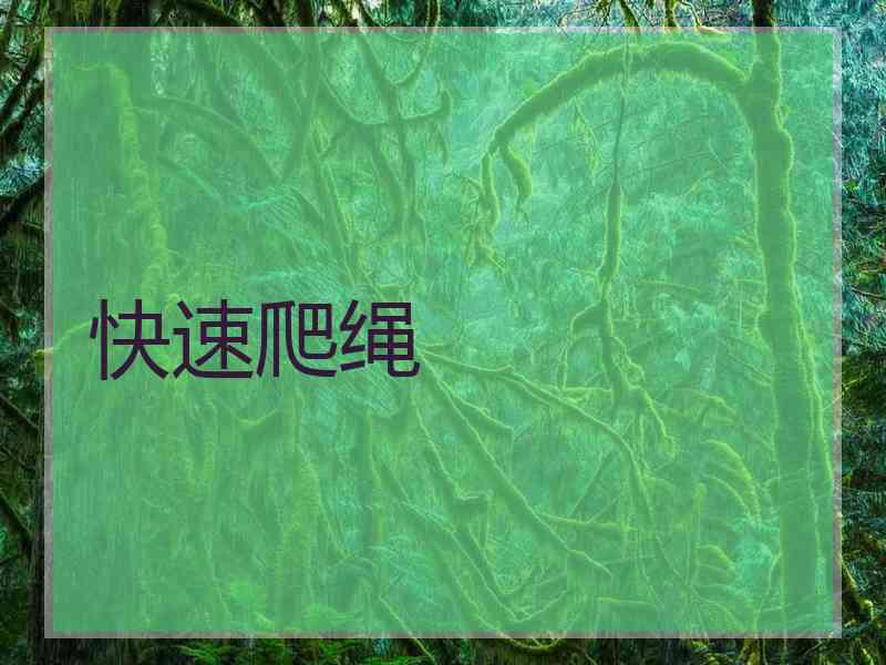 快速爬绳 快速爬绳