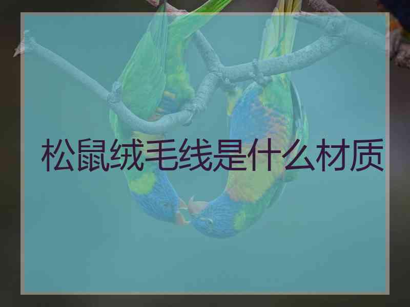 松鼠绒毛线是什么材质 松鼠绒毛线是什么材质