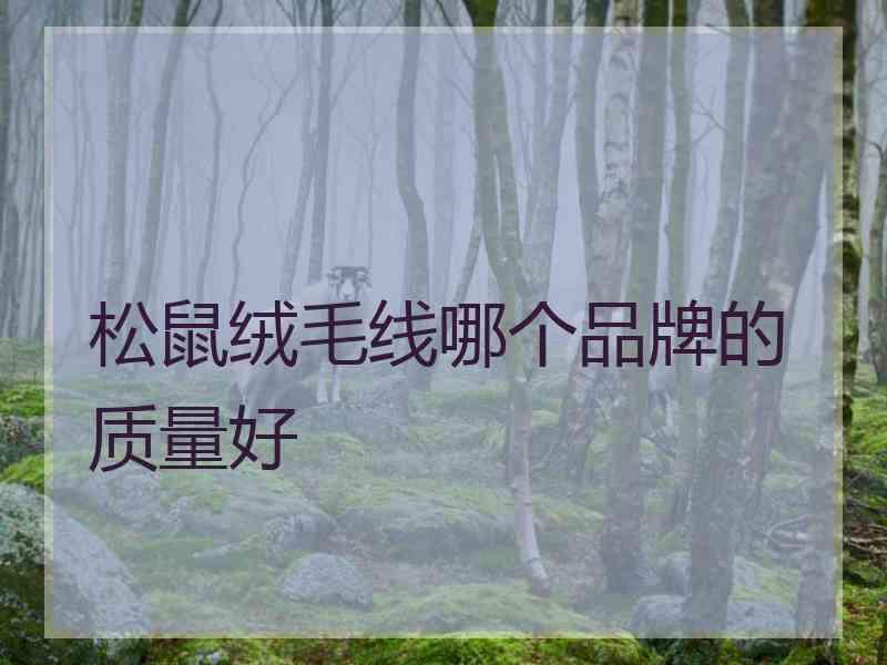 松鼠绒毛线哪个品牌的质量好 松鼠绒毛线哪个品牌的质量好