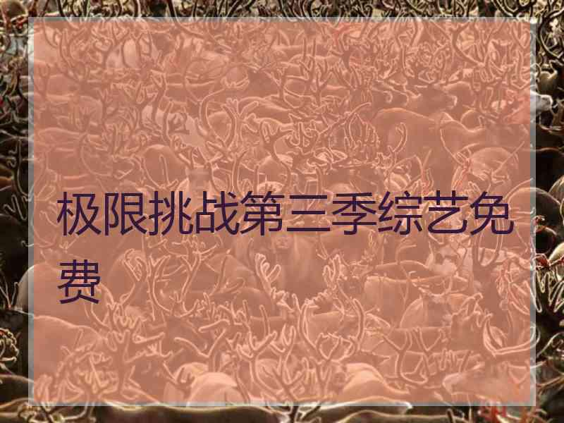 极限挑战第三季综艺免费 极限挑战第三季综艺免费