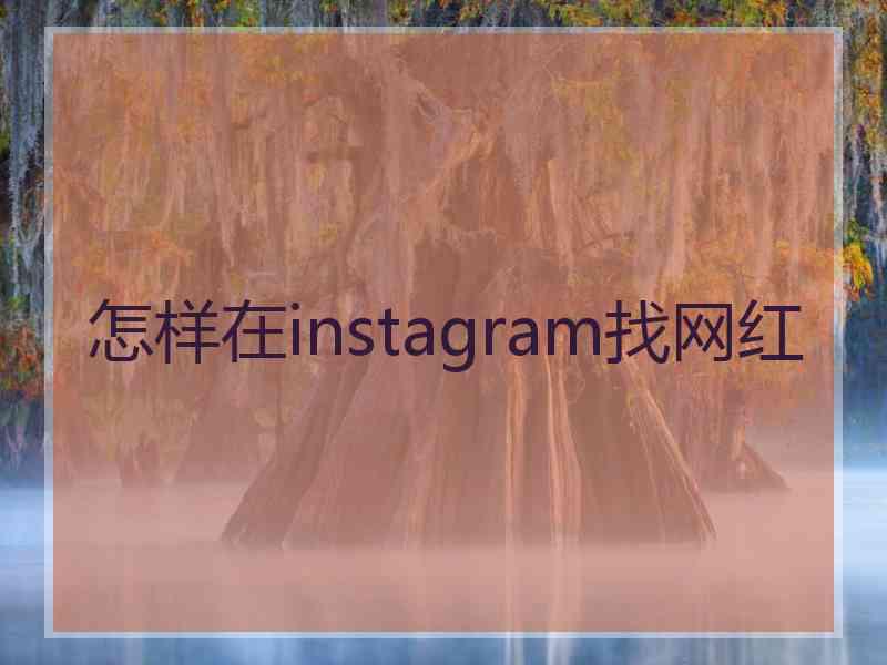 怎样在instagram找网红 怎样在instagram找网红