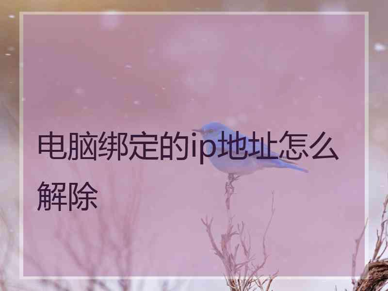 电脑绑定的ip地址怎么解除 电脑绑定的ip地址怎么解除