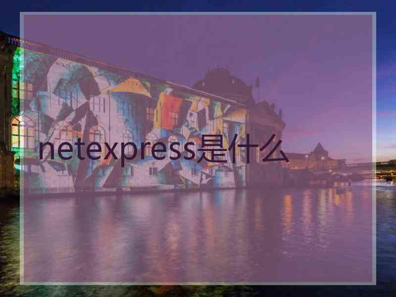 netexpress是什么