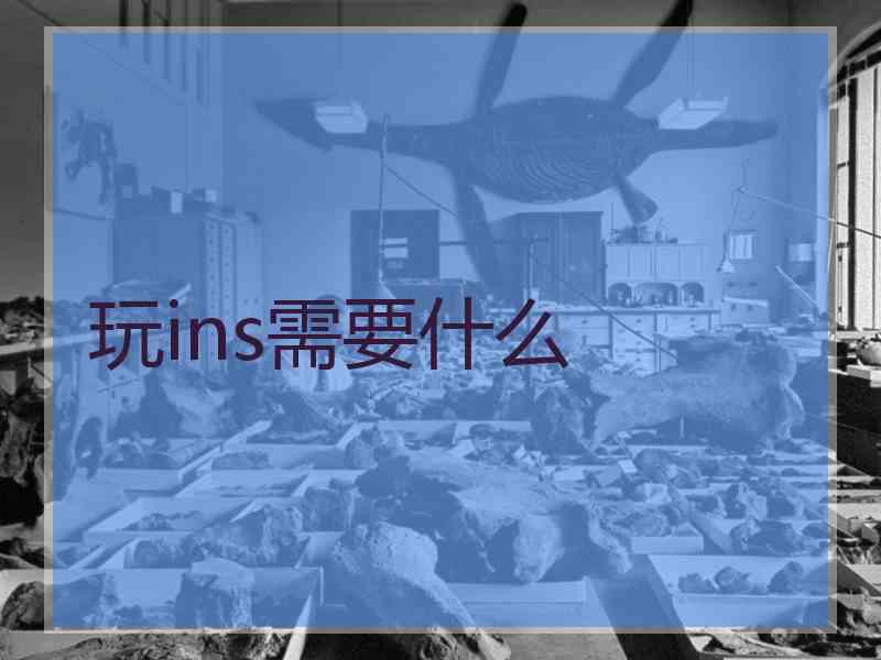 玩ins需要什么 玩ins需要什么