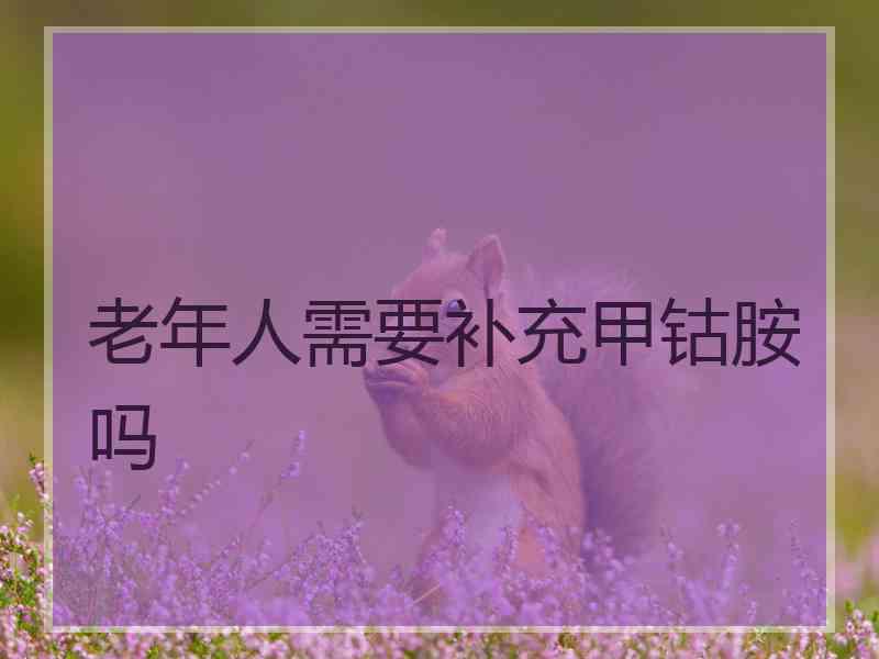 老年人需要补充甲钴胺吗 老年人需要补充甲钴胺吗