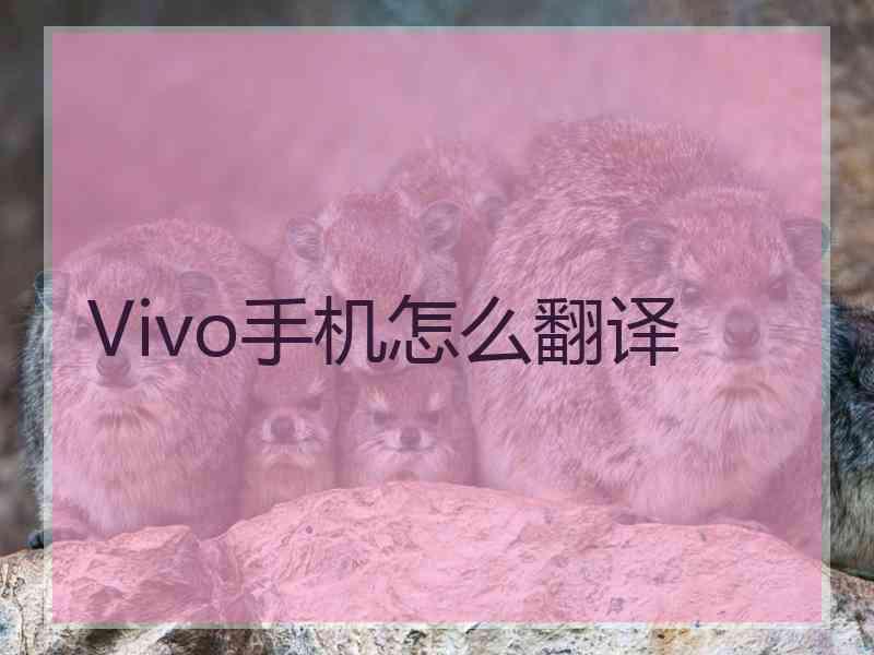 Vivo手机怎么翻译 Vivo手机怎么翻译