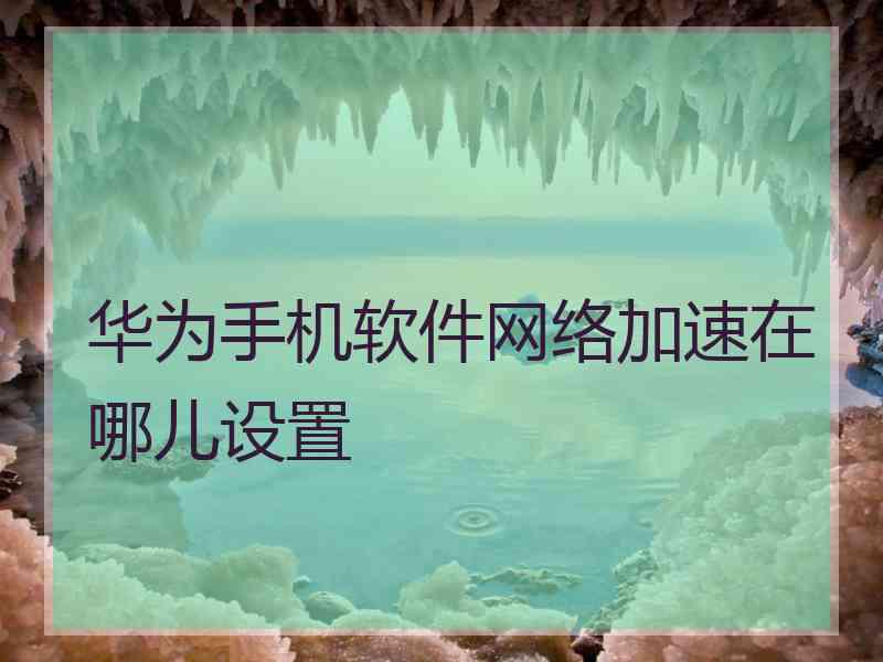 华为手机软件网络加速在哪儿设置 华为手机软件网络加速在哪儿设置