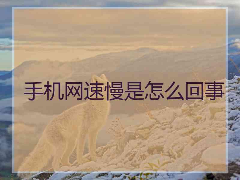 手机网速慢是怎么回事 手机网速慢是怎么回事