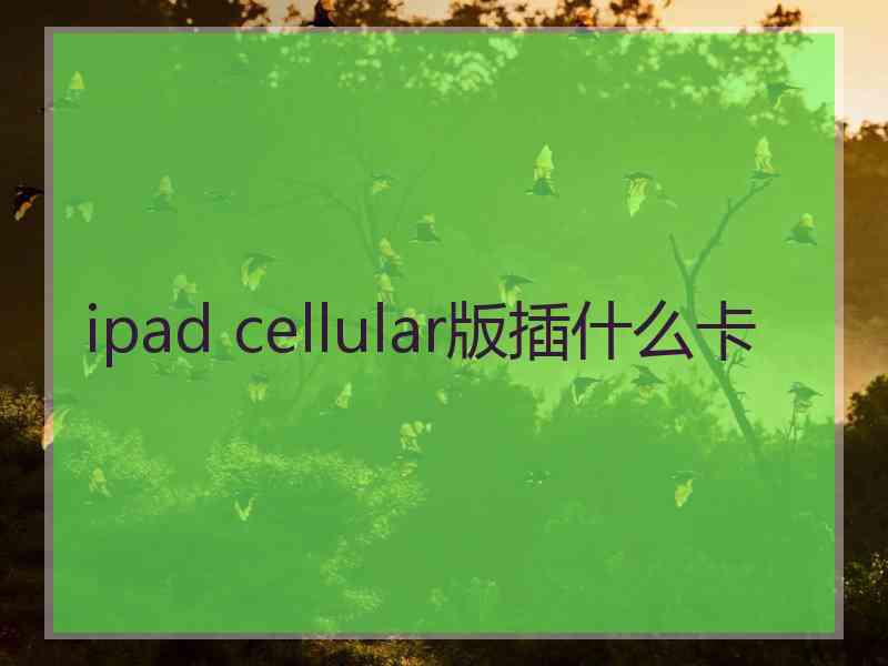 ipad cellular版插什么卡 ipad cellular版插什么卡