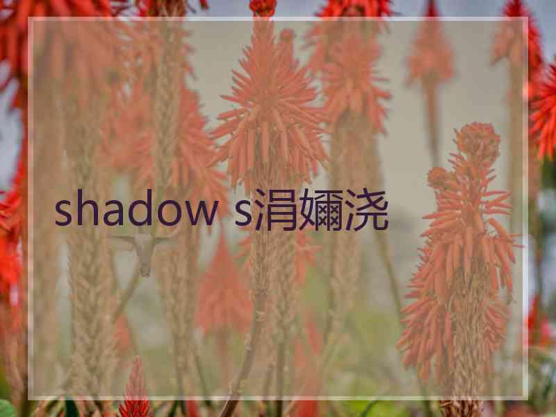 shadow s涓嬭浇