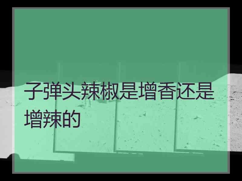 子弹头辣椒是增香还是增辣的 子弹头辣椒是增香还是增辣的