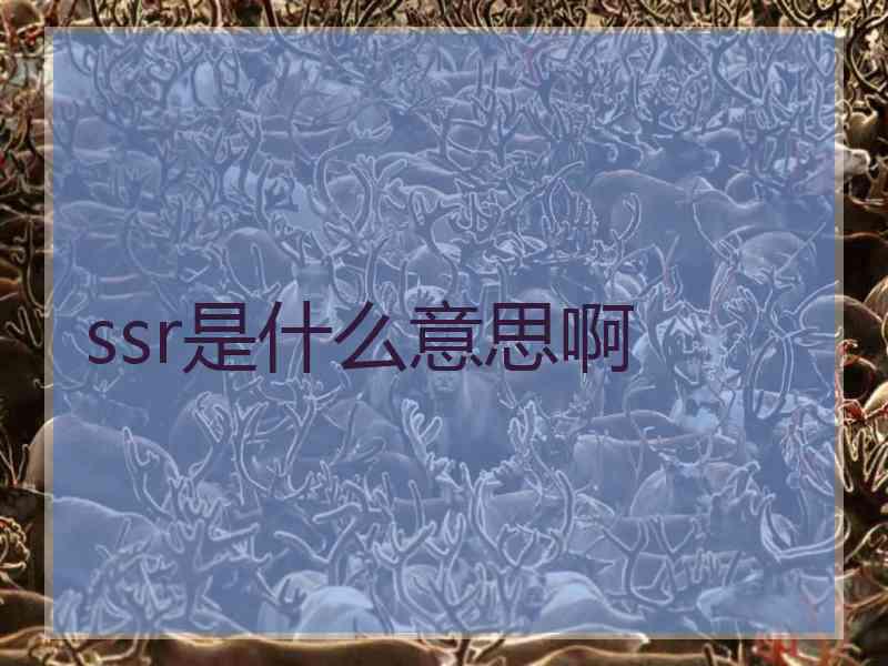 ssr是什么意思啊 ssr是什么意思啊