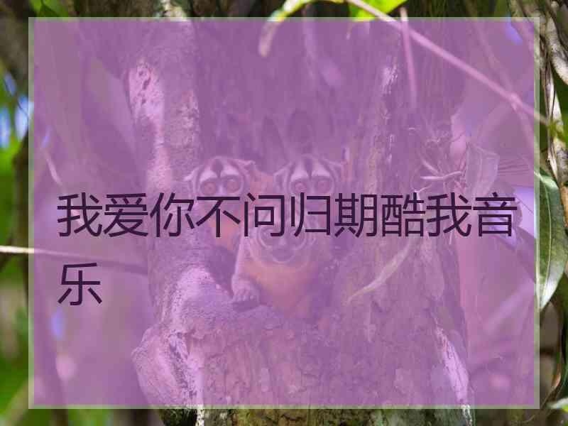 我爱你不问归期酷我音乐 我爱你不问归期酷我音乐