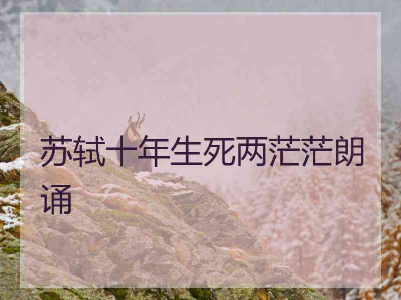 苏轼十年生死两茫茫朗诵 苏轼十年生死两茫茫朗诵